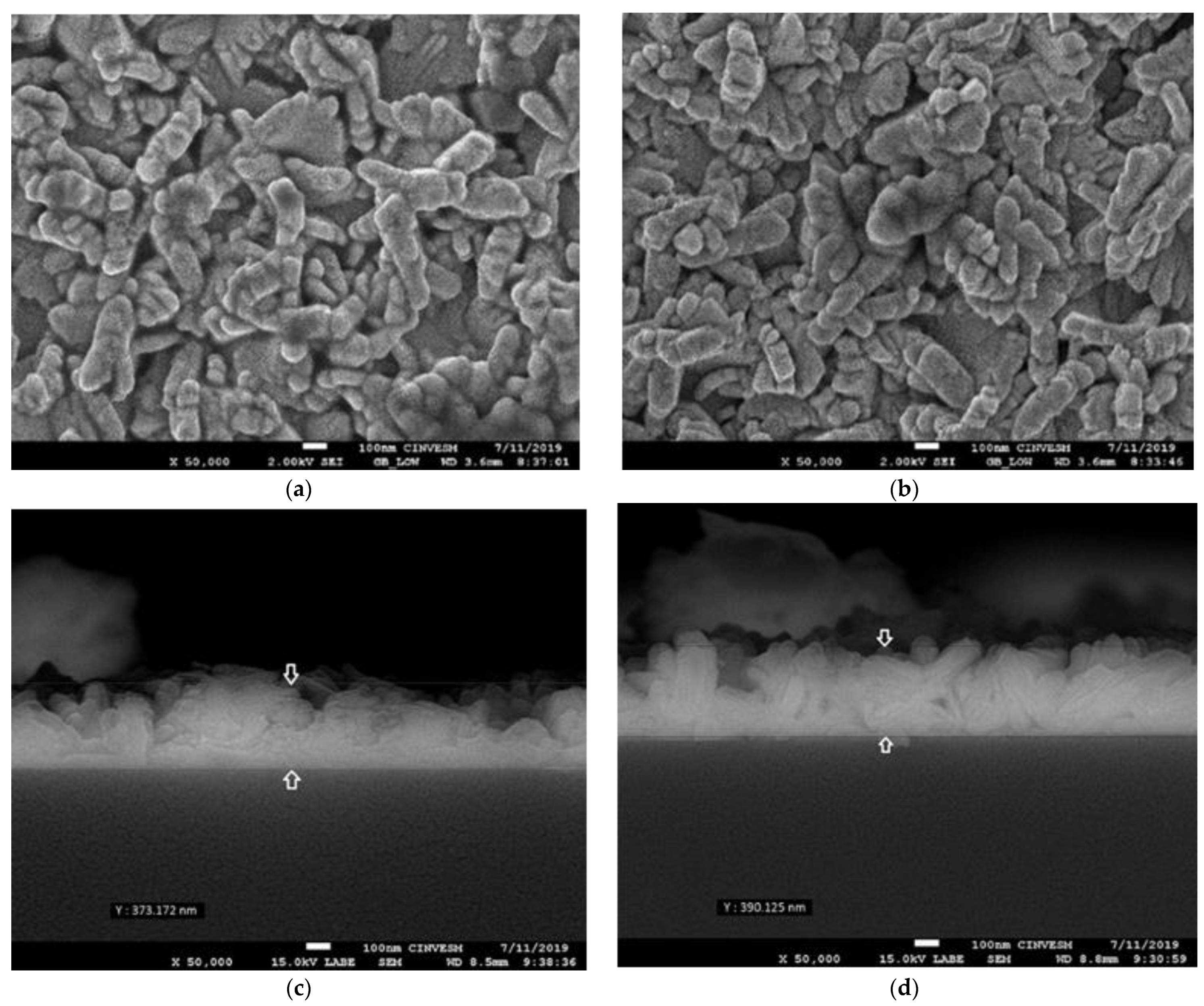 Coatings 12 00283 g002