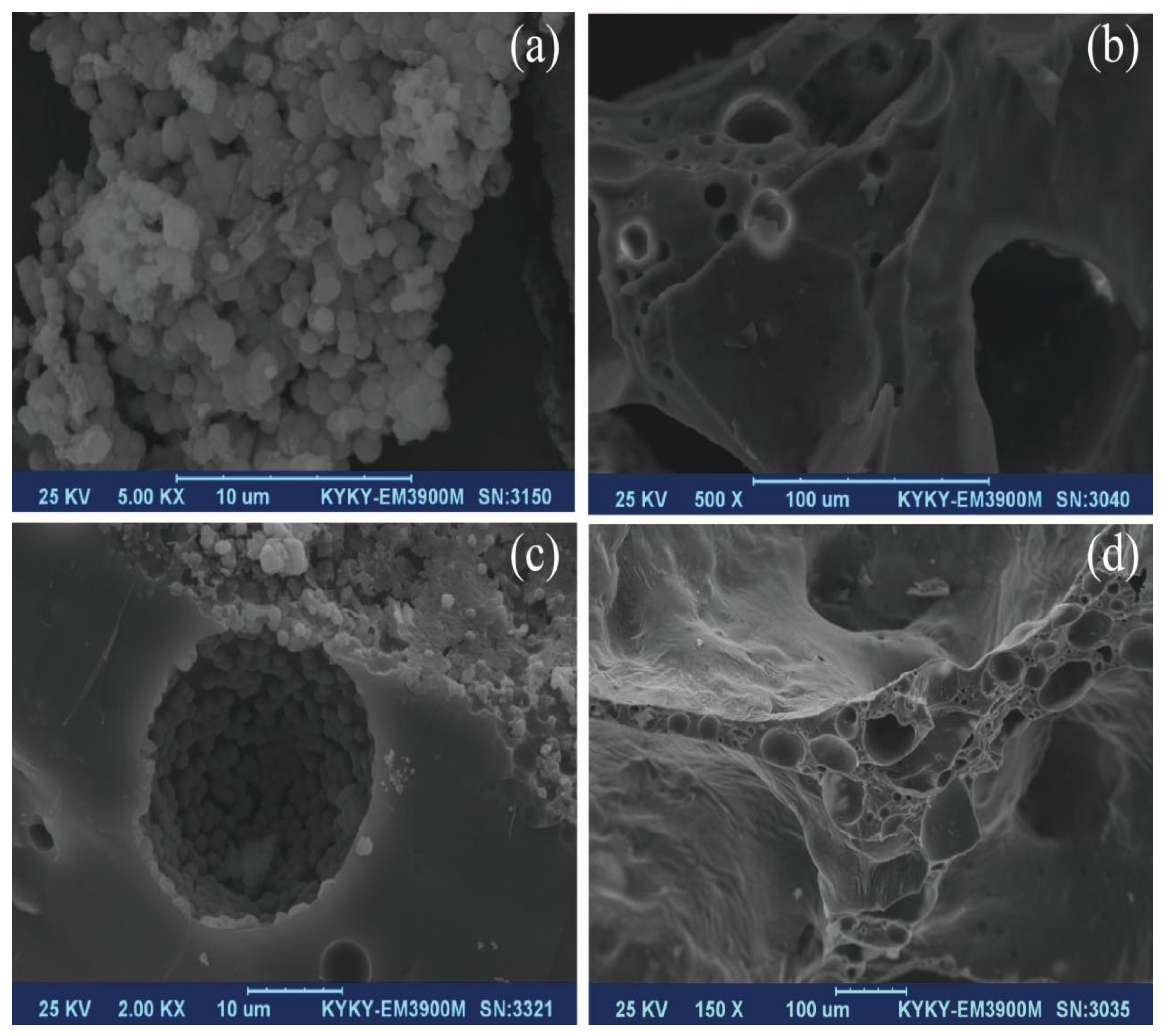 Coatings 12 00286 g002