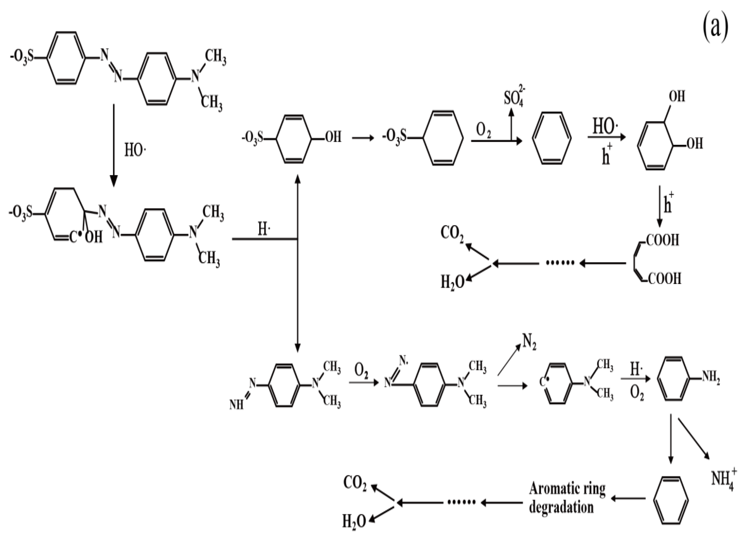 Coatings 12 00286 g012a