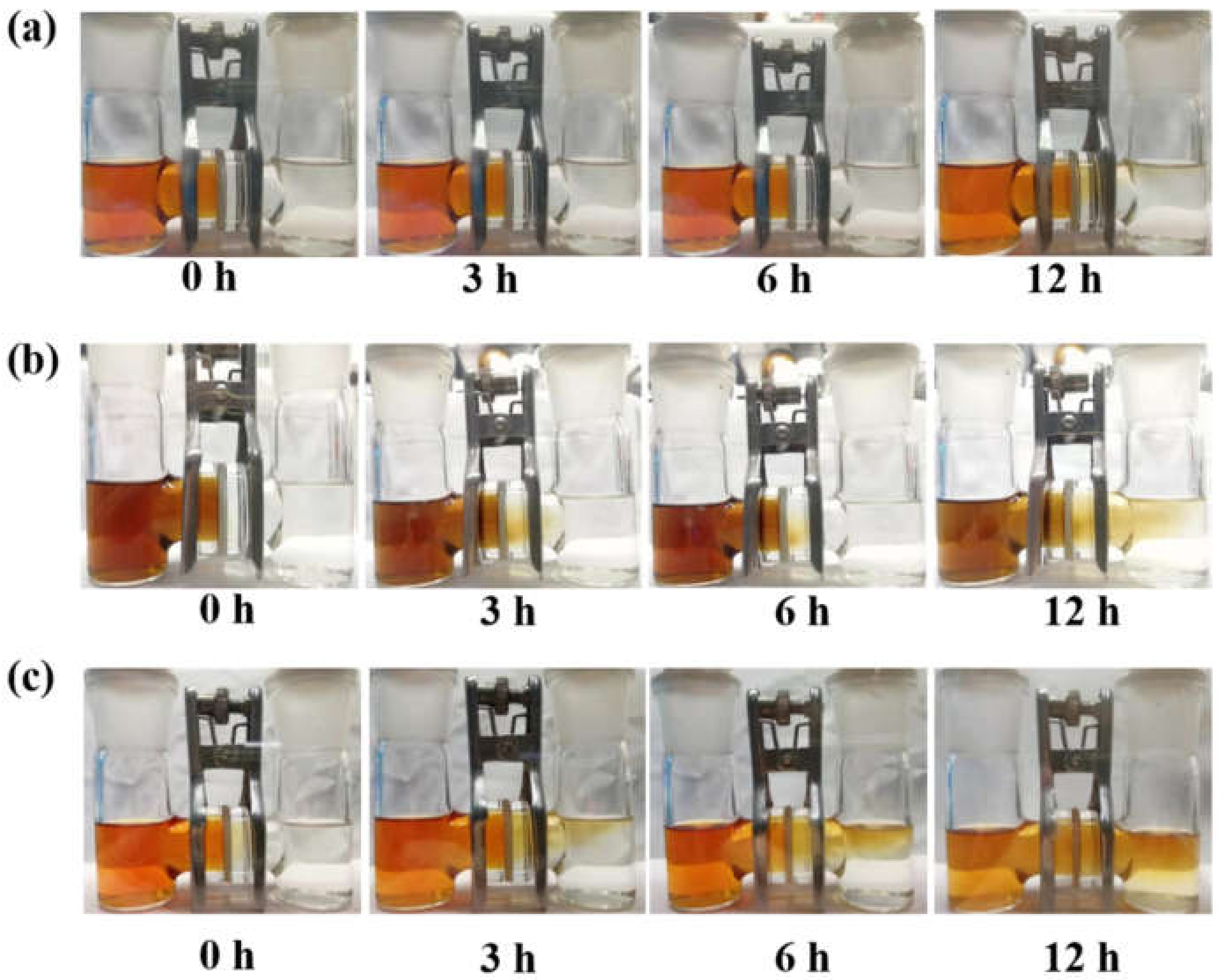 Coatings 12 00289 g005