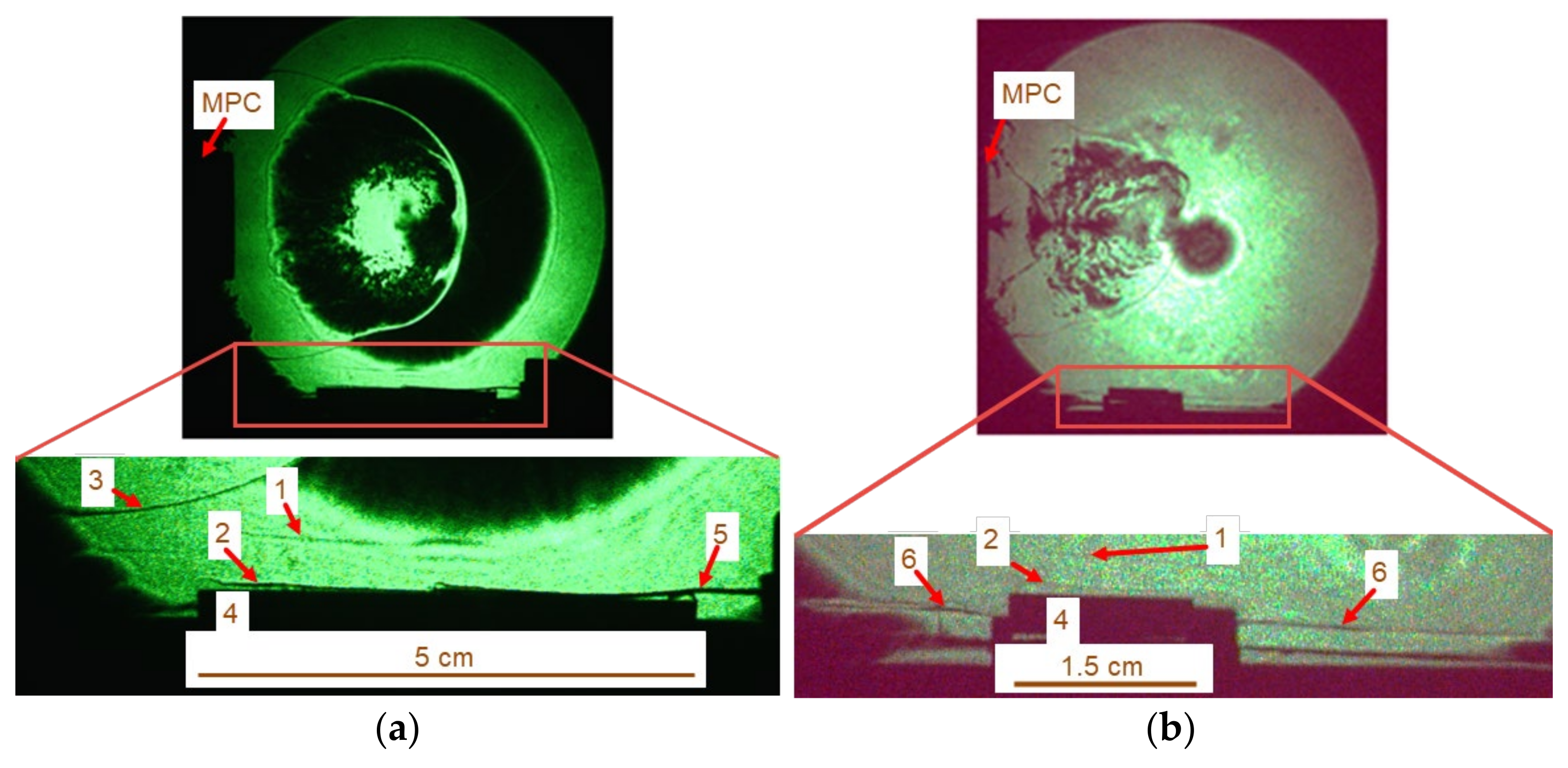 Coatings 12 00290 g003