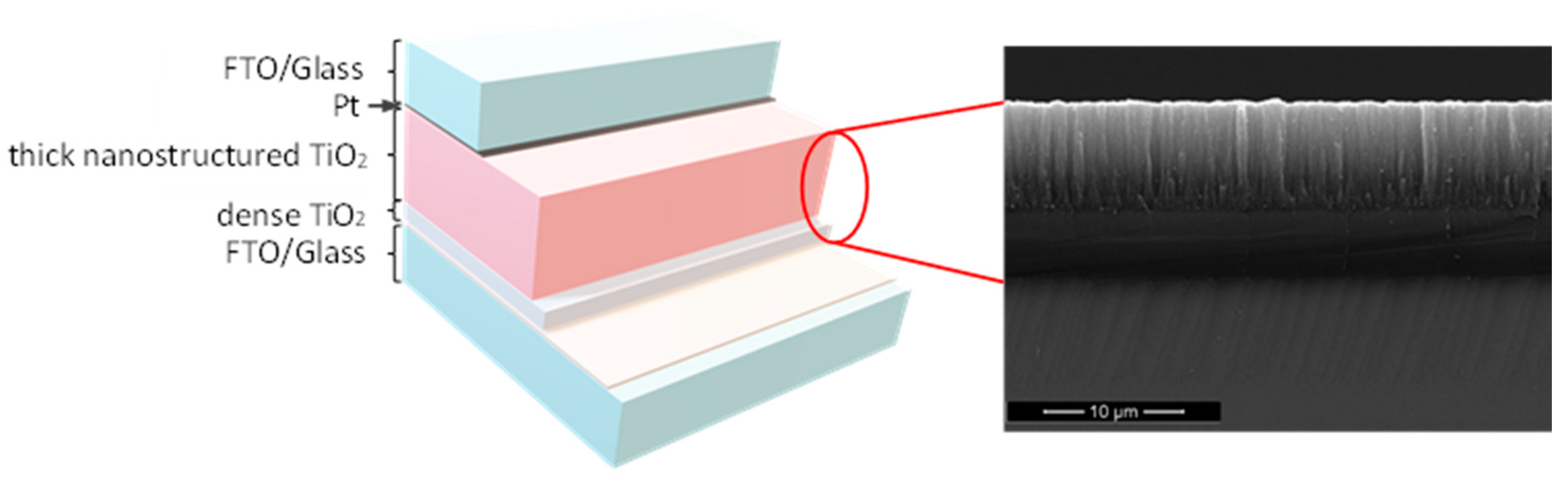 Coatings 12 00293 g001