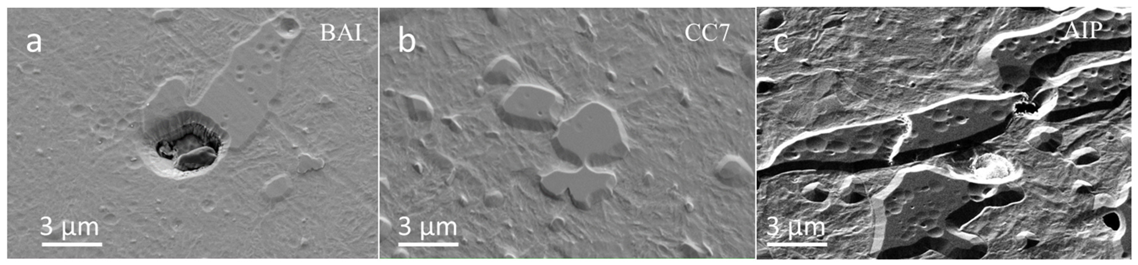 Coatings 12 00294 g002 Coatings 12 00294 g002