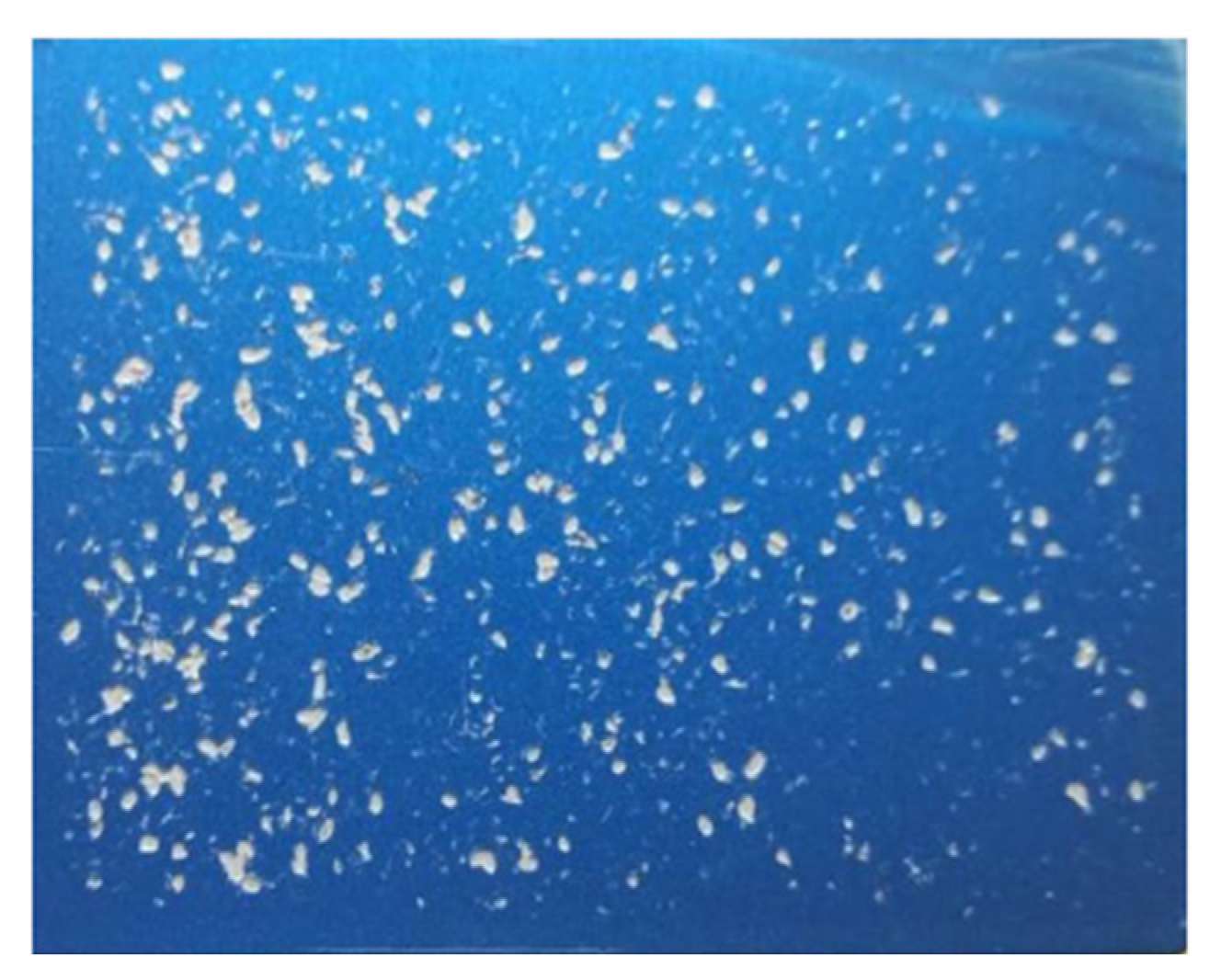 Coatings 12 00295 g012