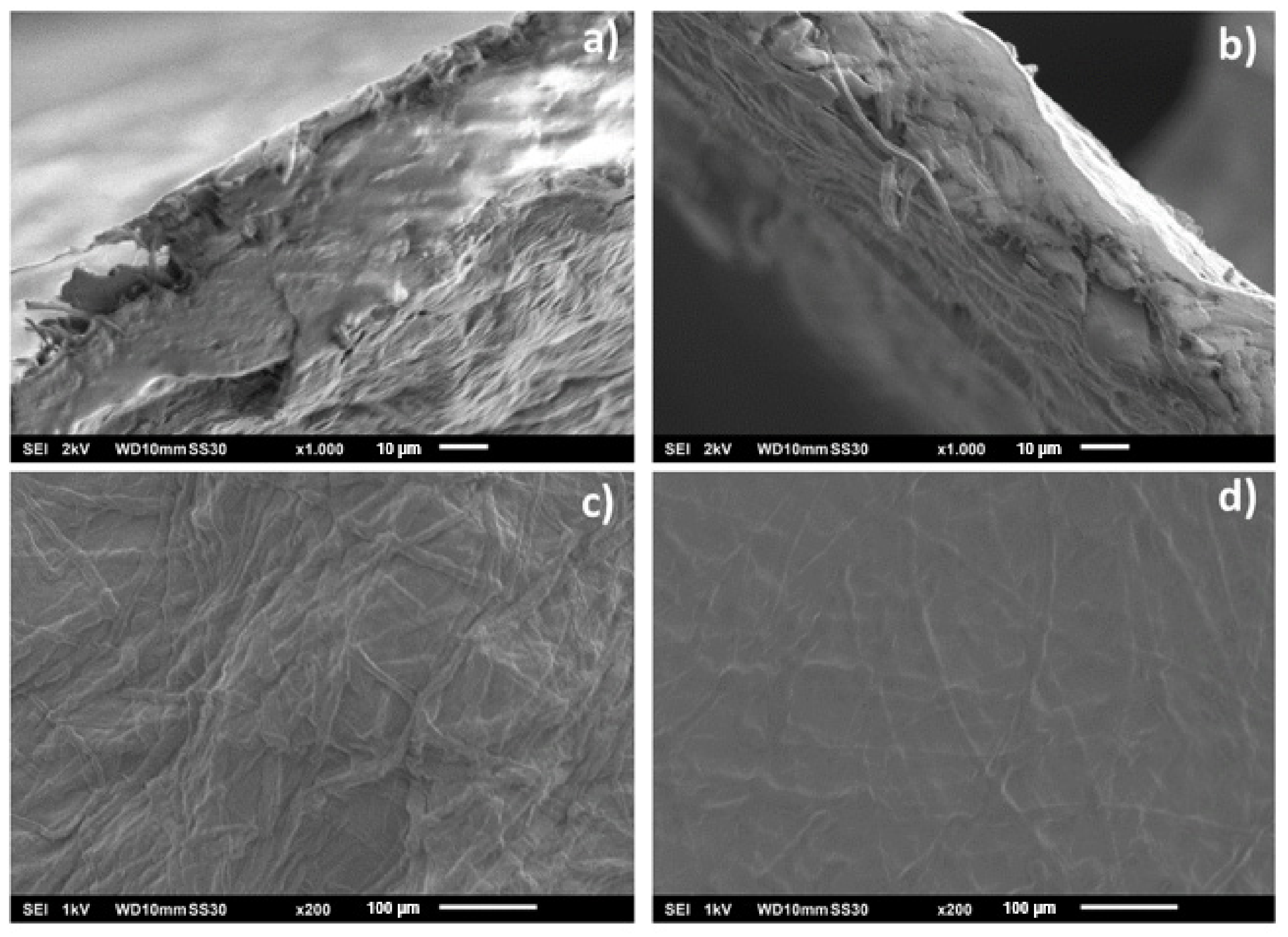 Coatings 12 00303 g004