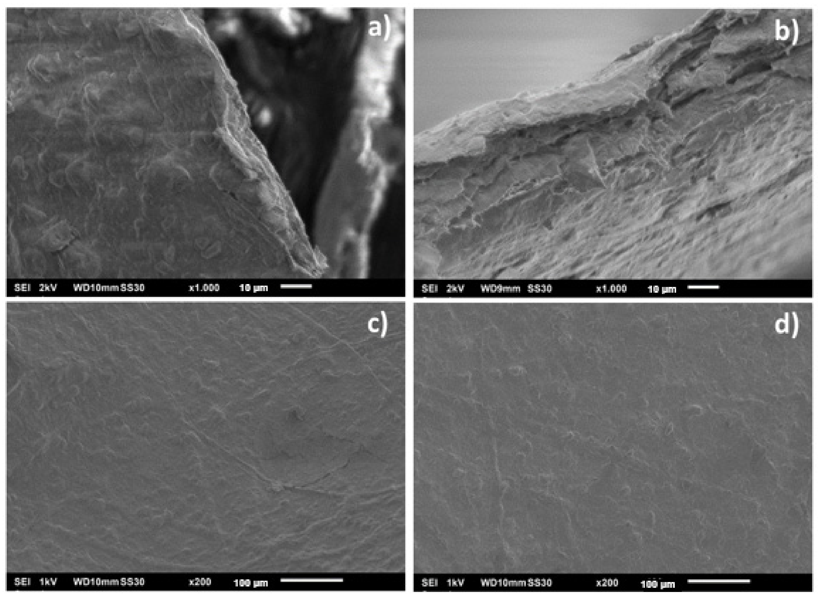 Coatings 12 00303 g005