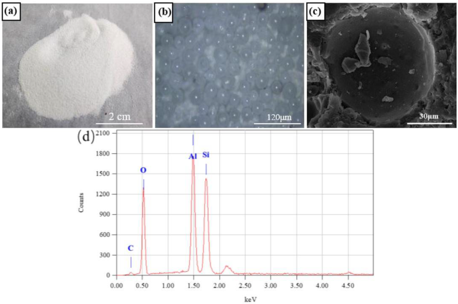 Coatings 12 00304 g002