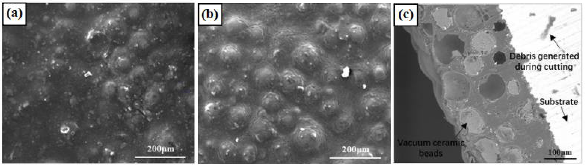 Coatings 12 00304 g003