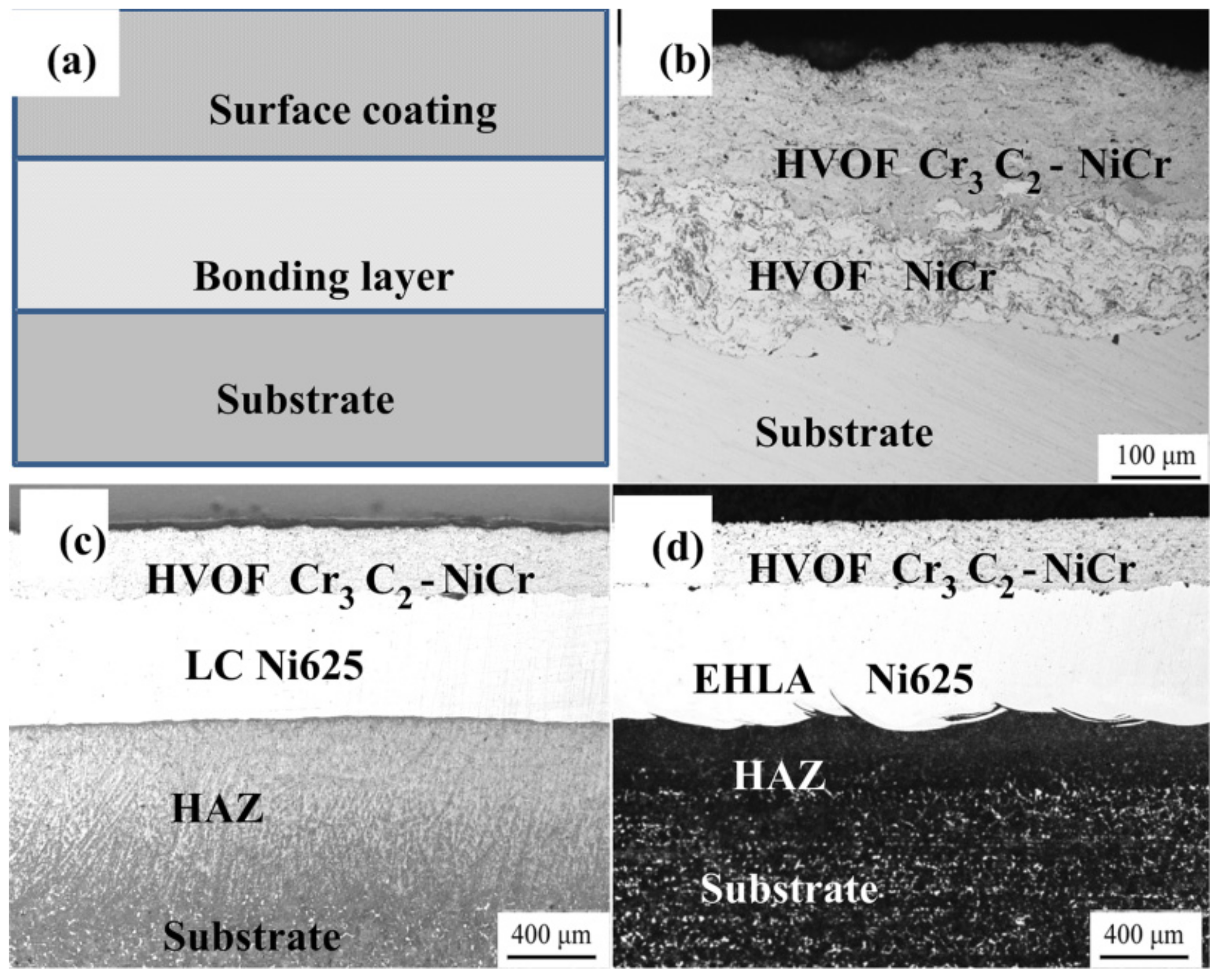 Coatings 12 00307 g003