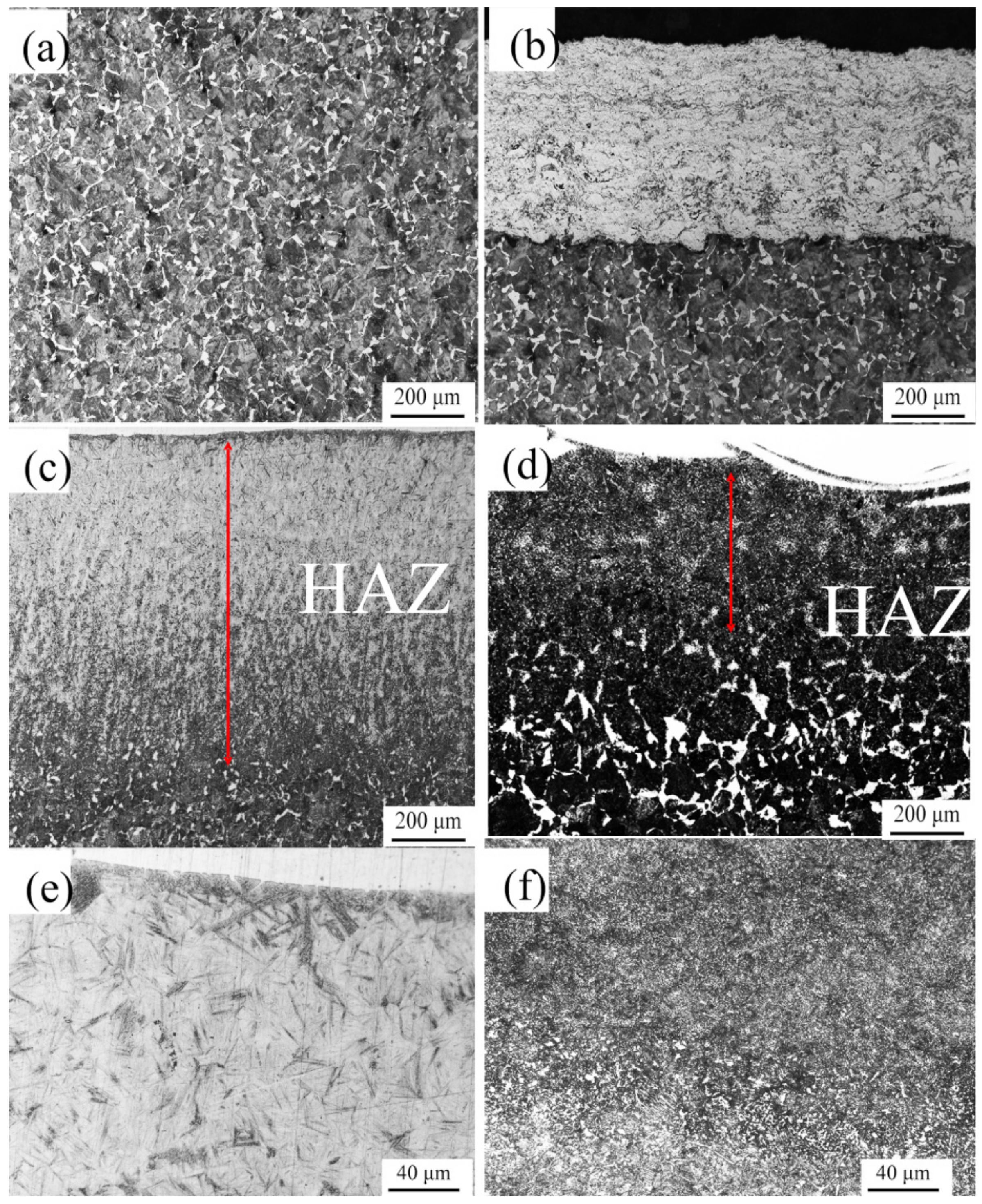 Coatings 12 00307 g006