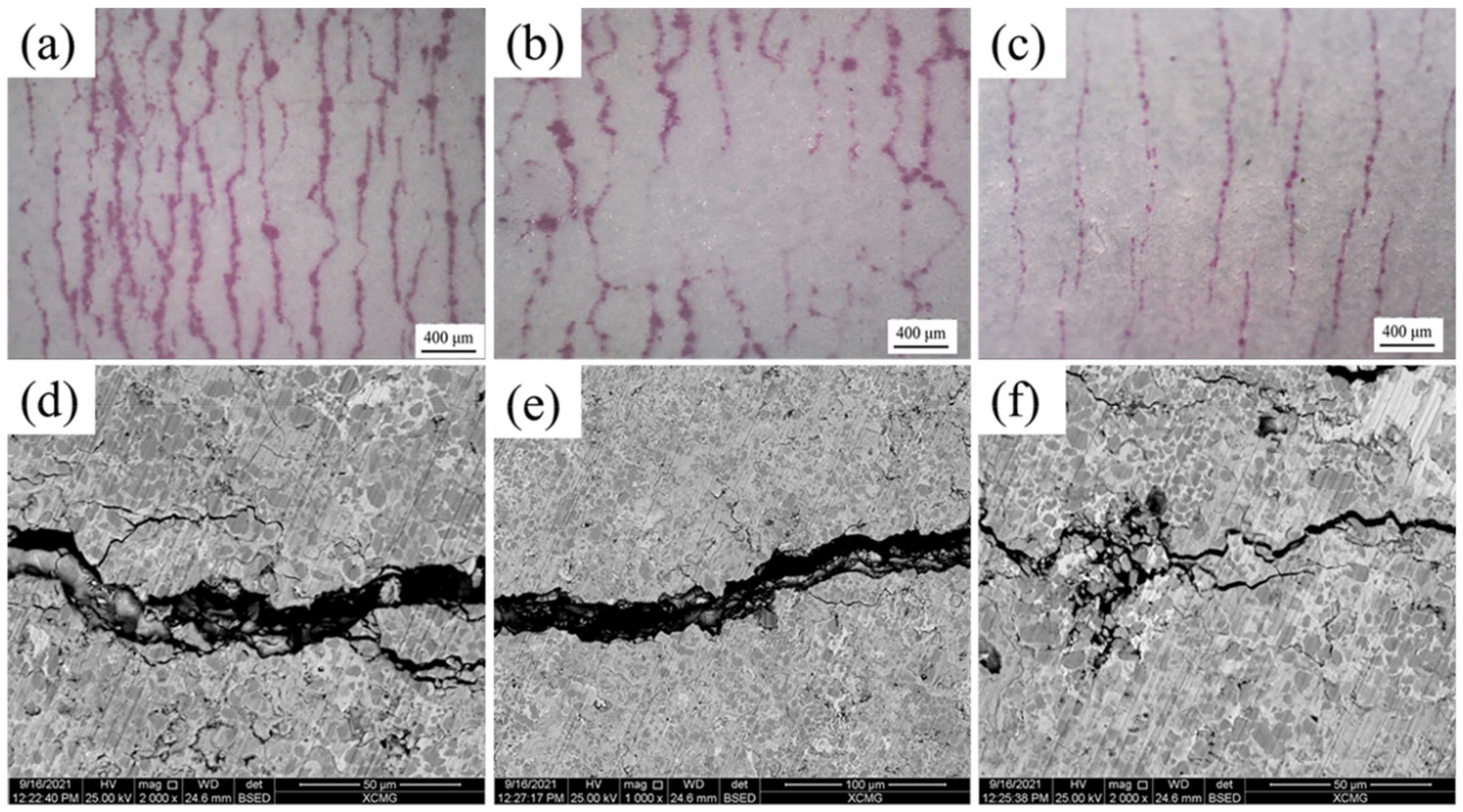 Coatings 12 00307 g008