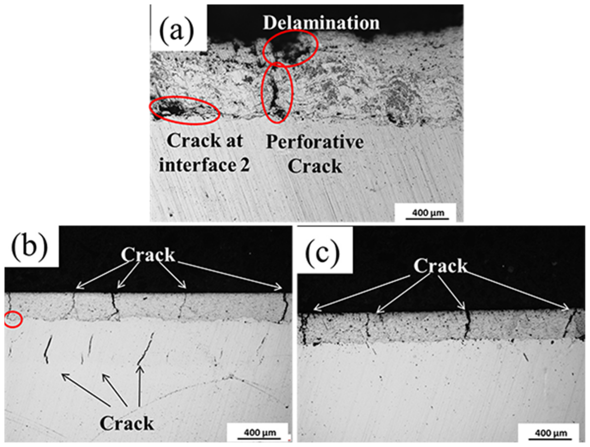 Coatings 12 00307 g009