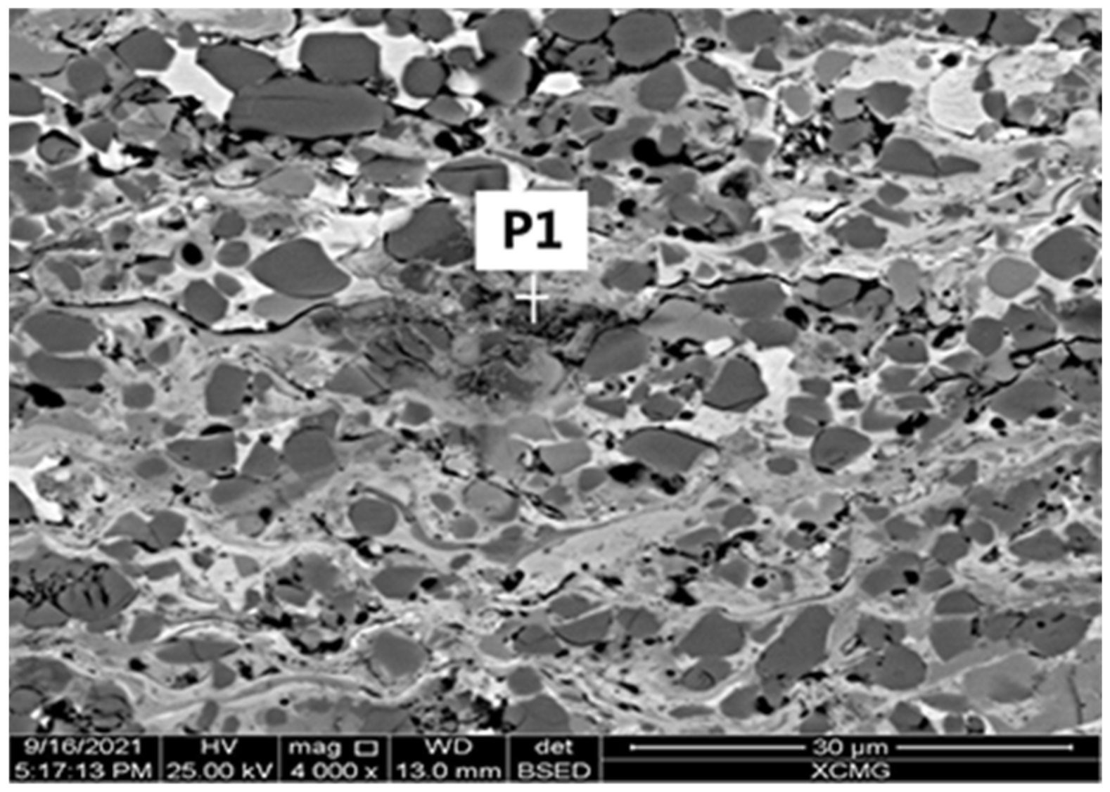 Coatings 12 00307 g012