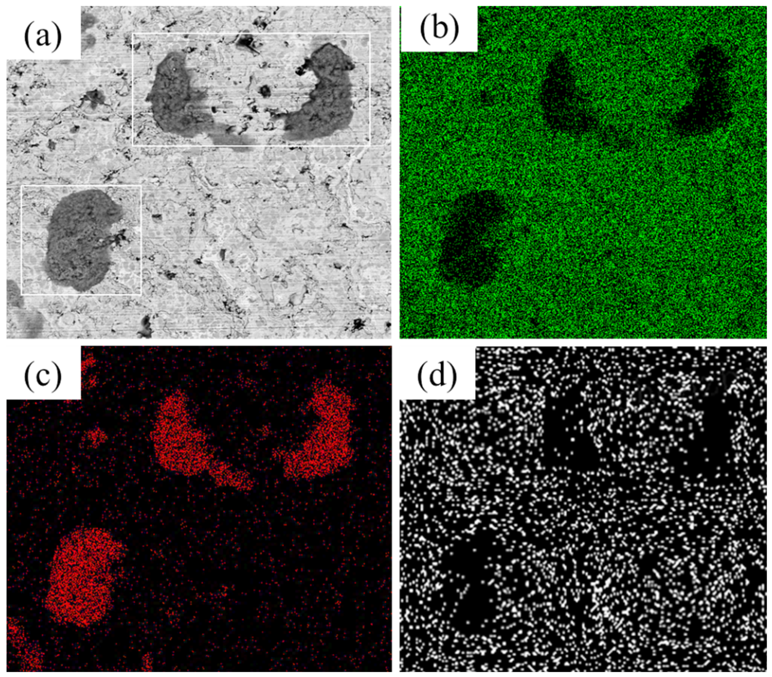 Coatings 12 00307 g013