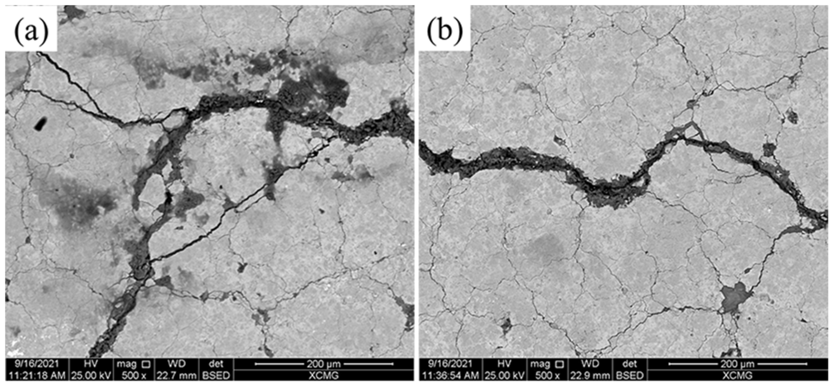 Coatings 12 00307 g014