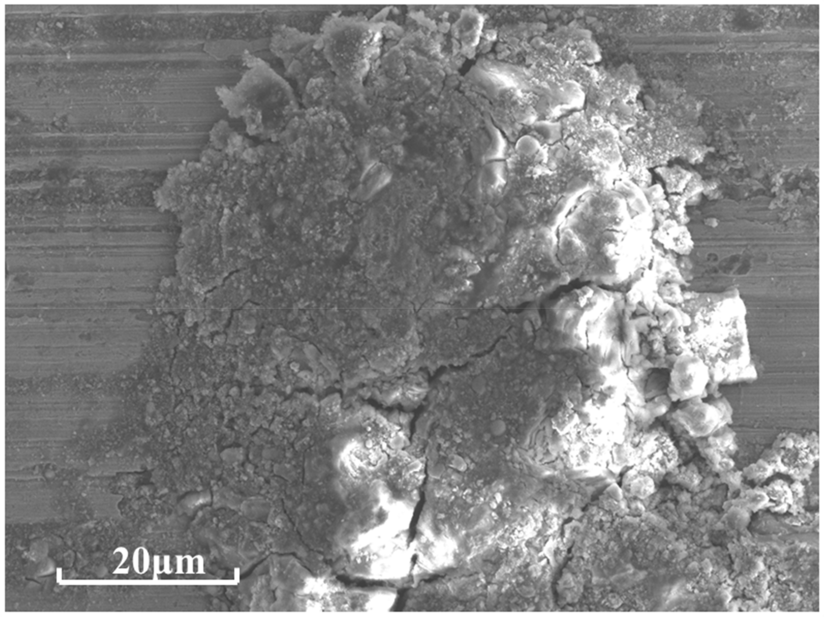 Coatings 12 00307 g015