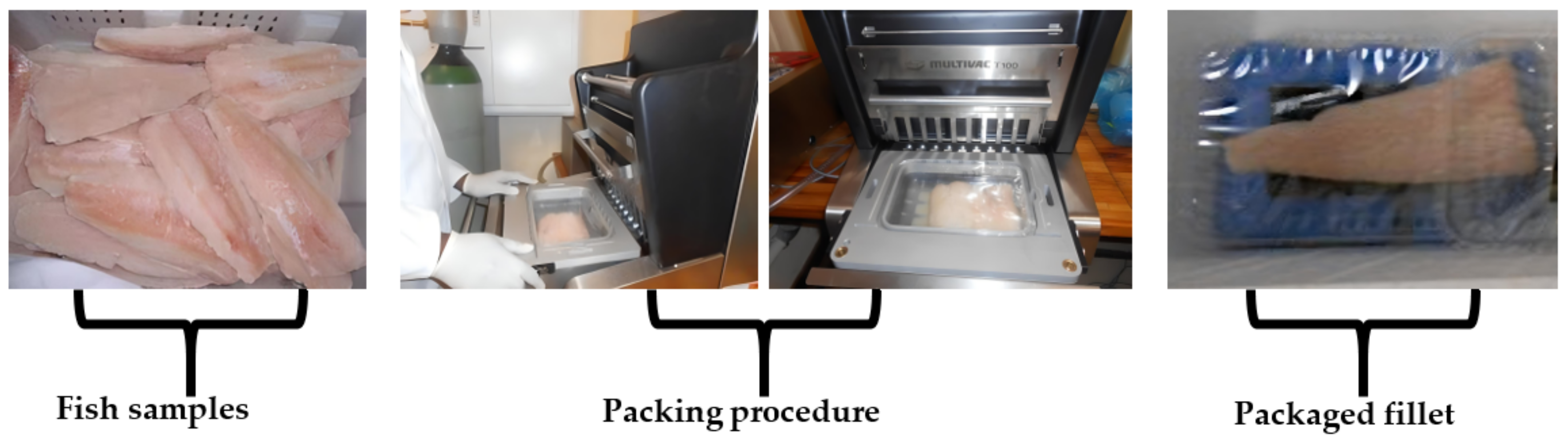 Coatings 12 00310 g001