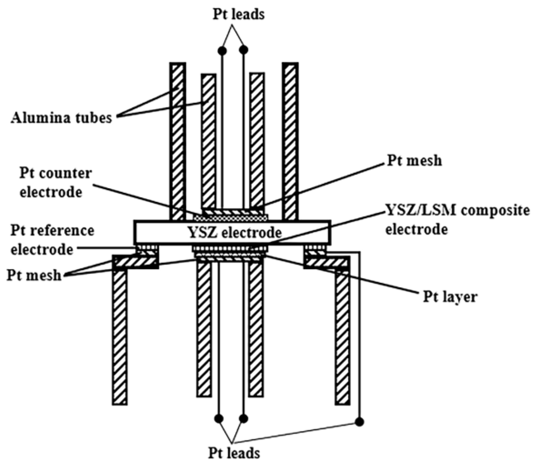 Coatings 12 00321 g001