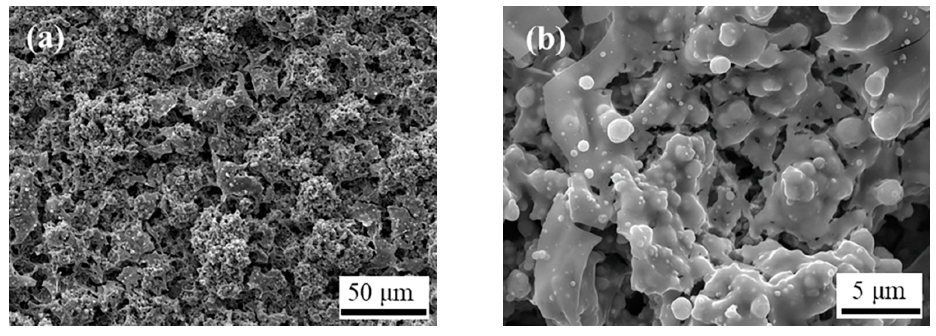 Coatings 12 00321 g003