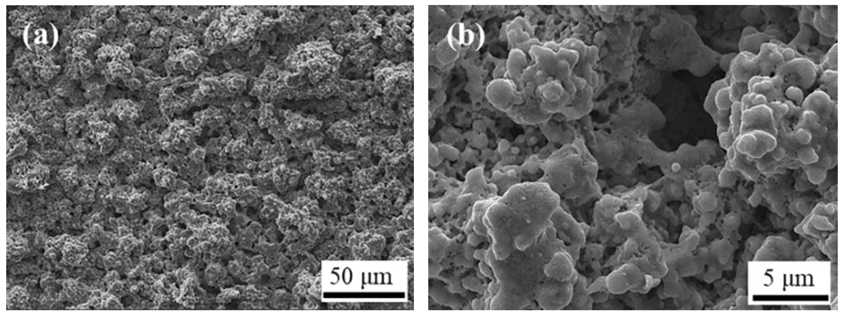 Coatings 12 00321 g004