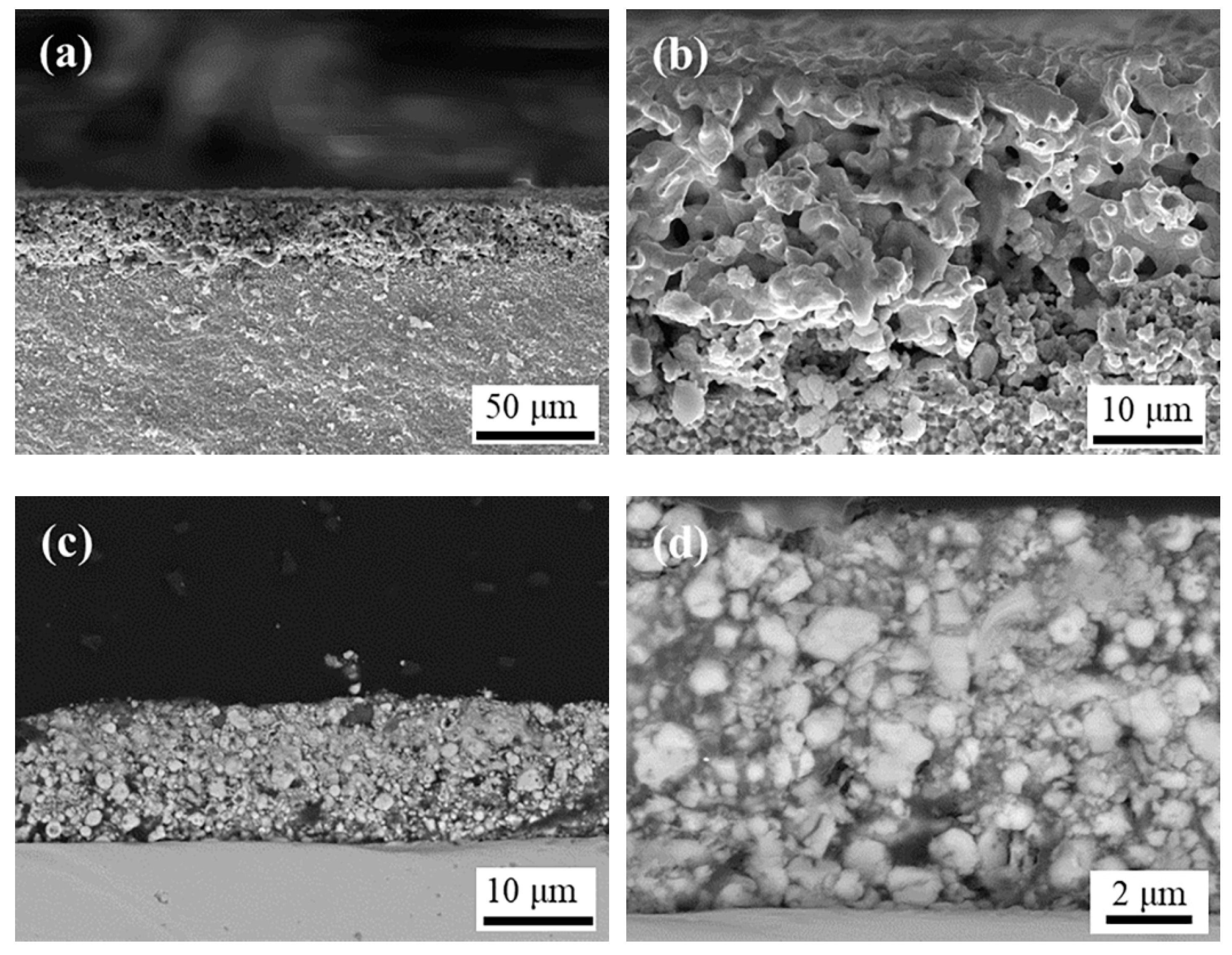 Coatings 12 00321 g006