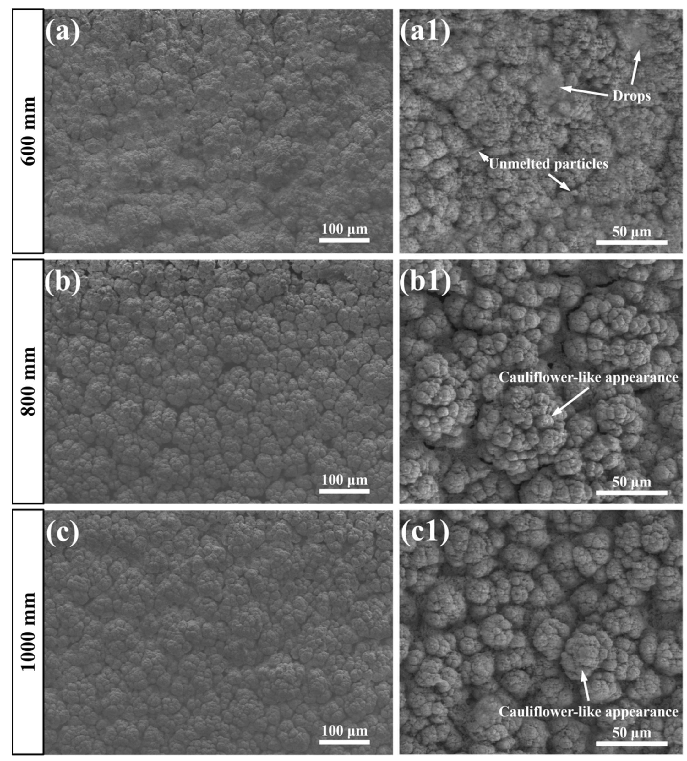 Coatings 12 00323 g003