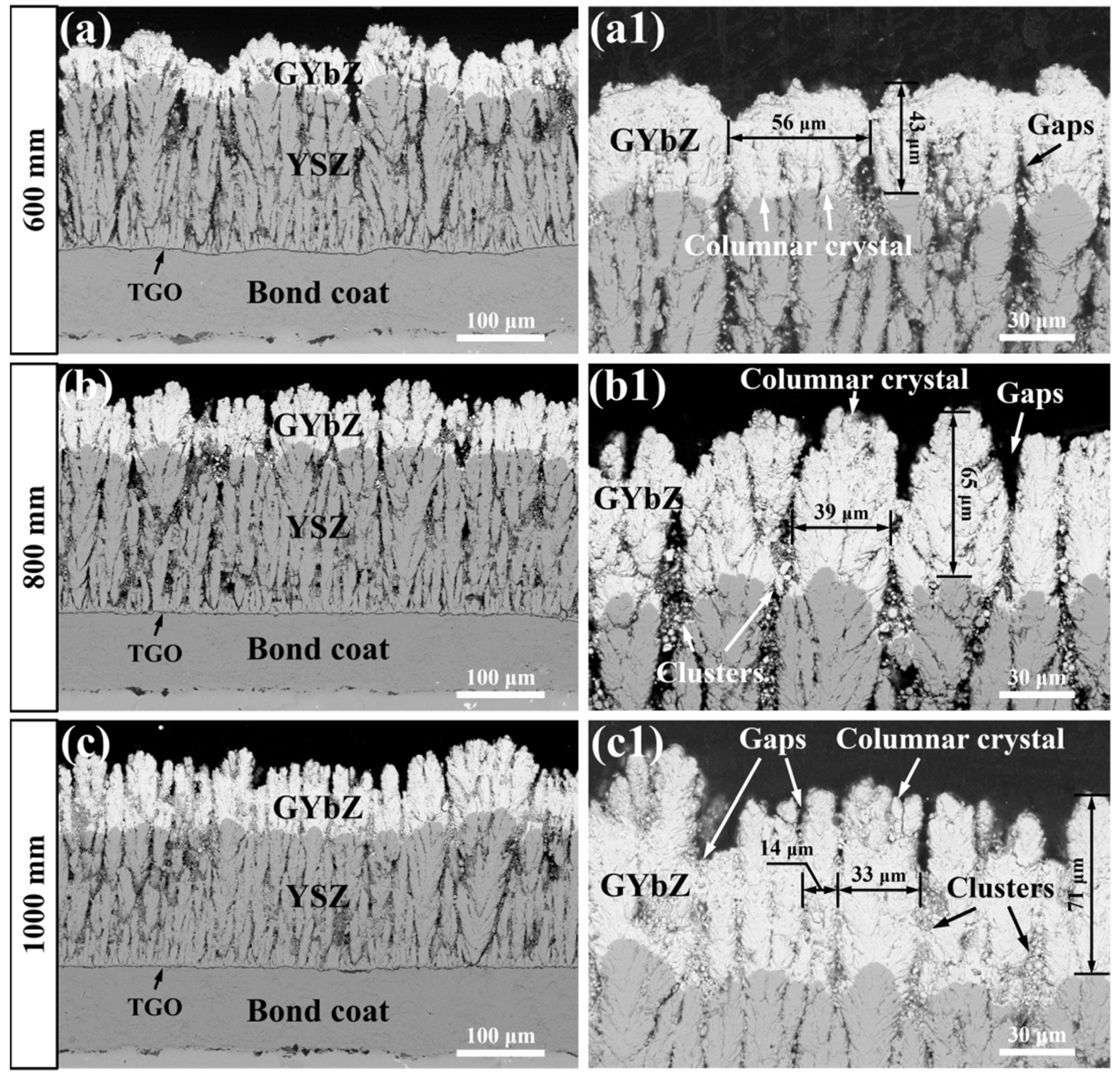 Coatings 12 00323 g004