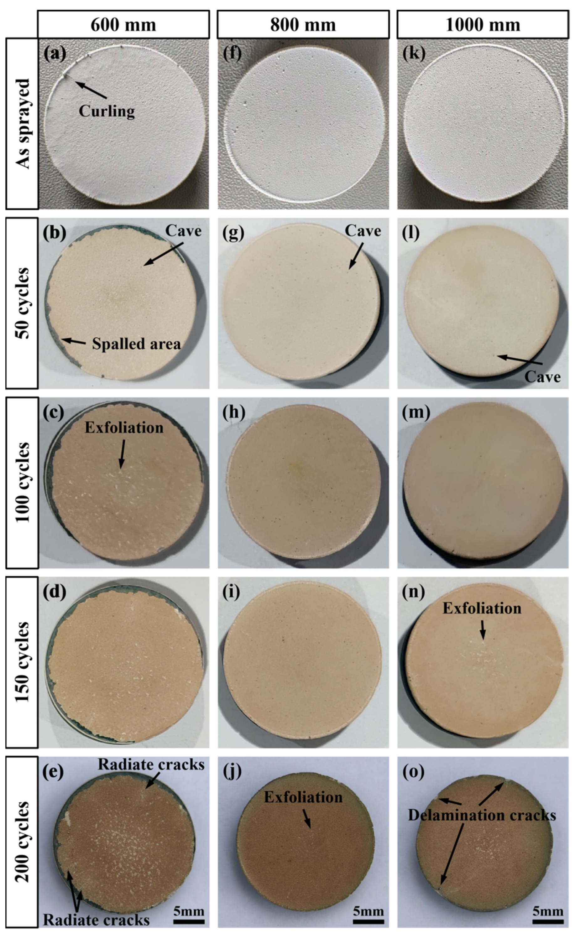 Coatings 12 00323 g005