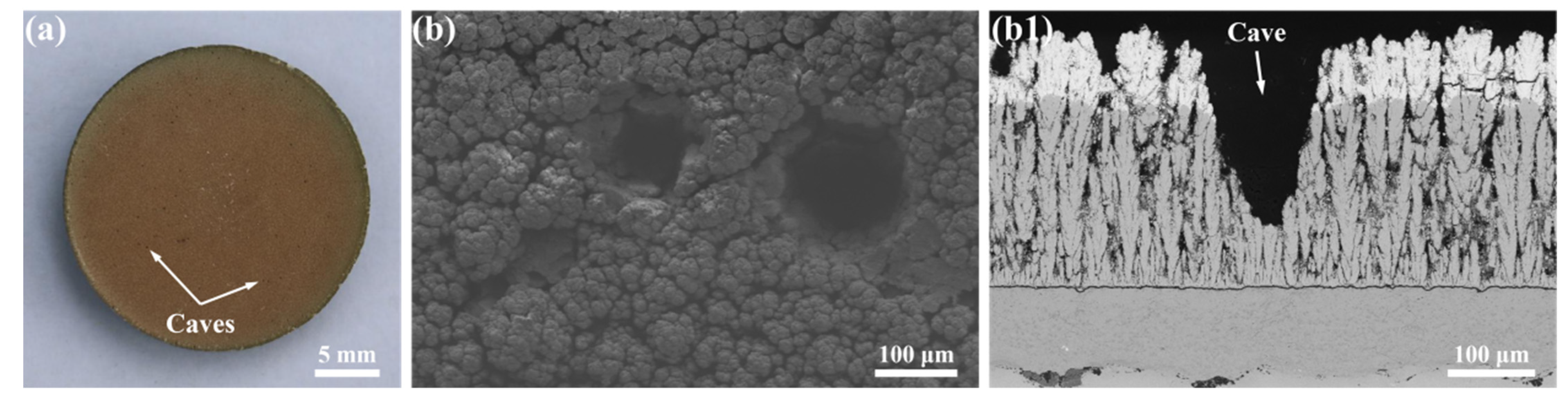 Coatings 12 00323 g006