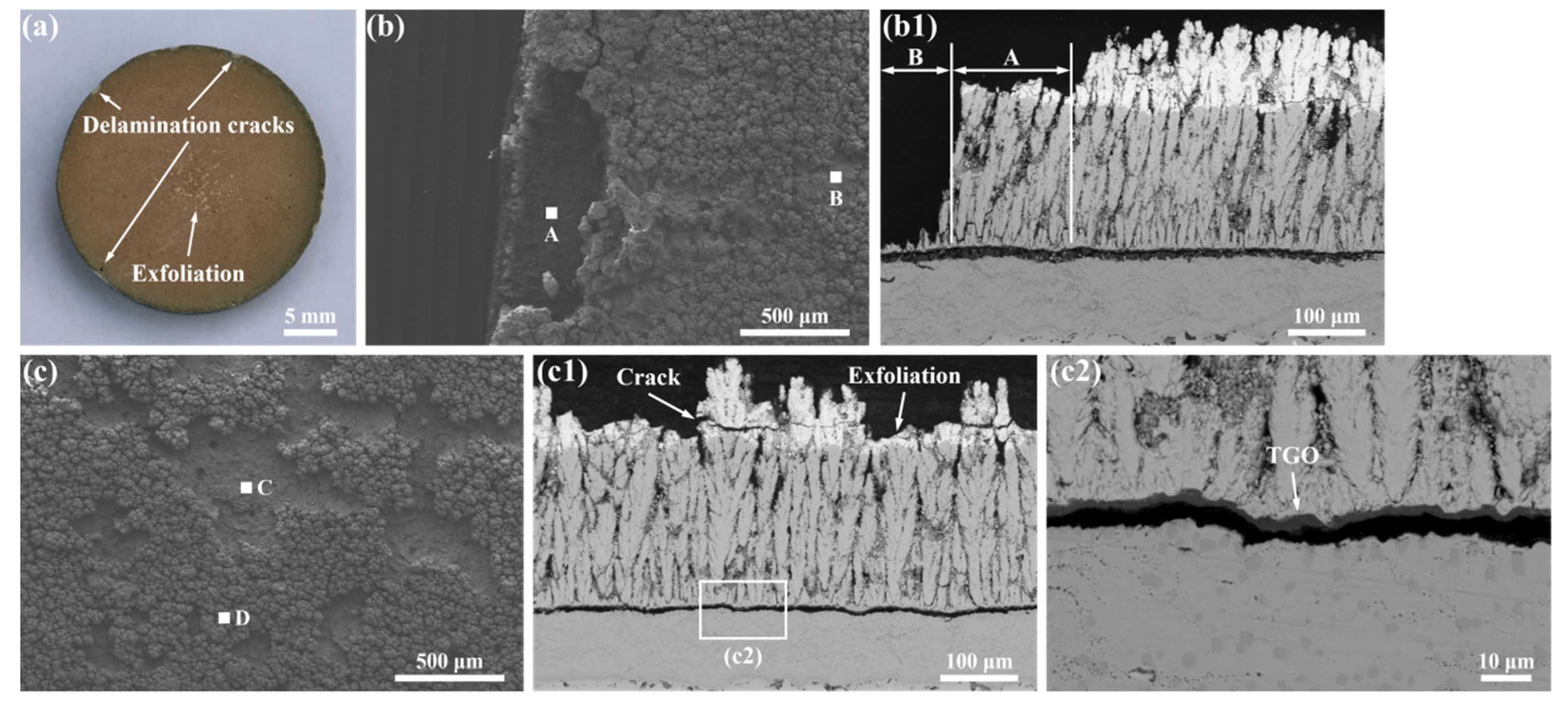 Coatings 12 00323 g007