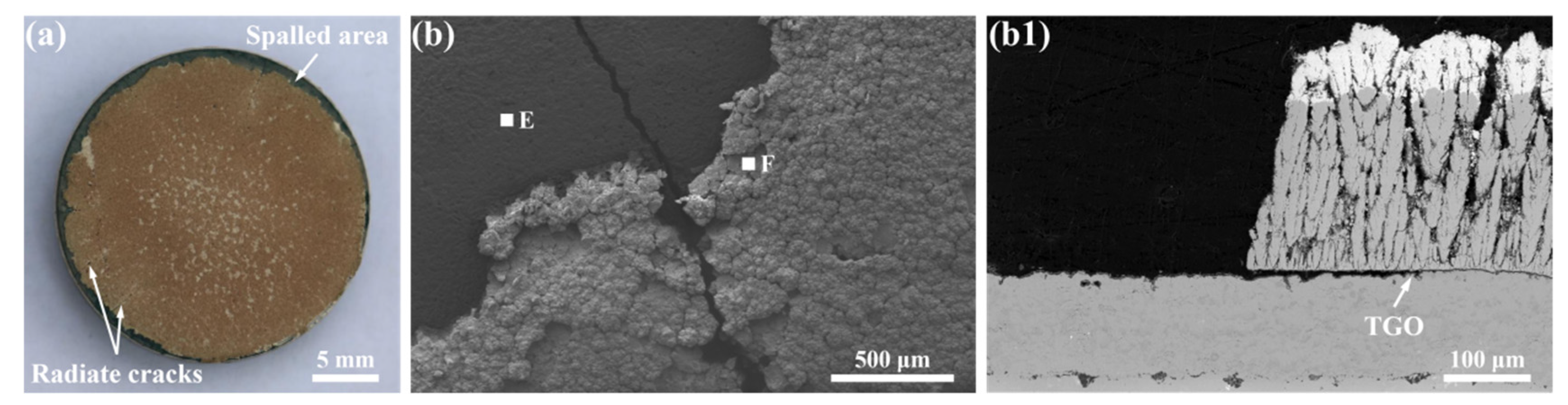 Coatings 12 00323 g008