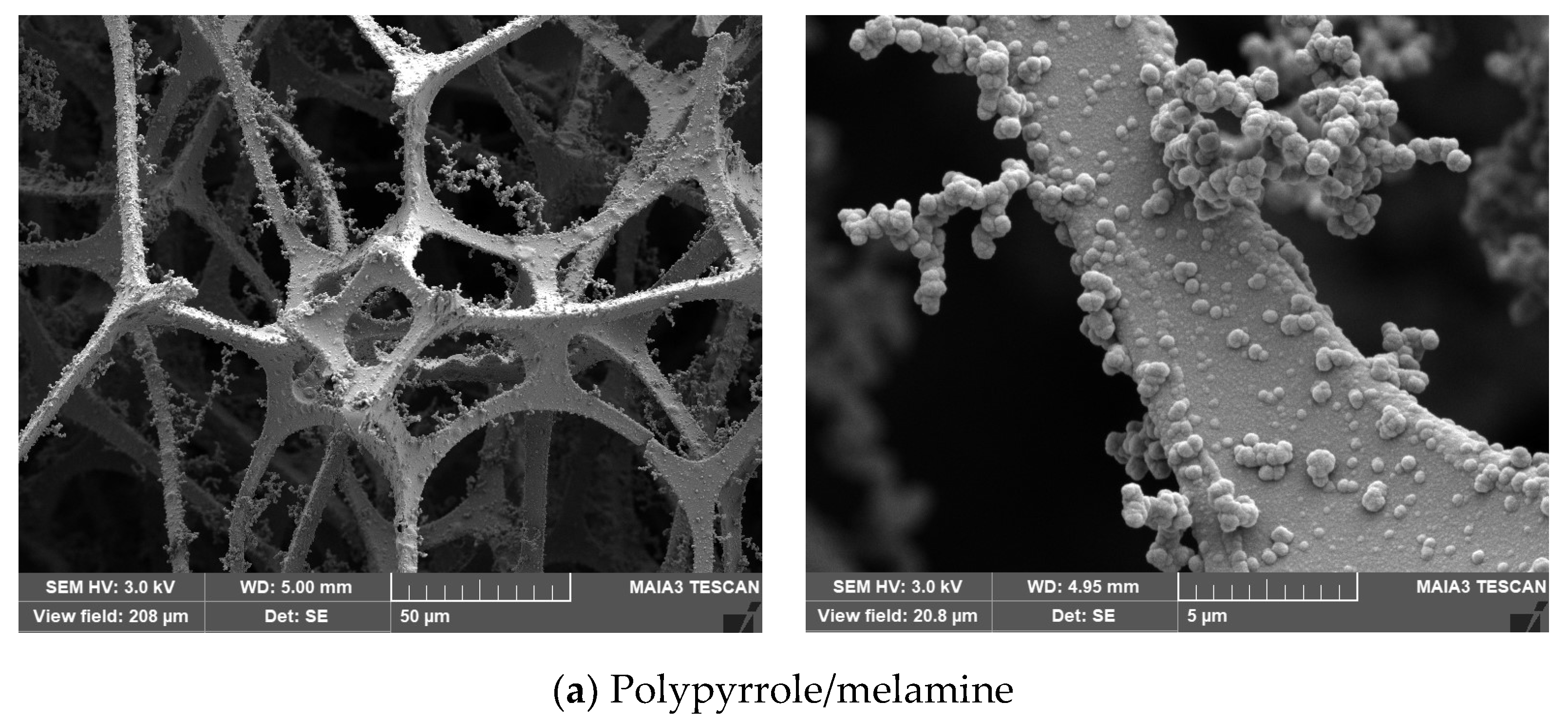 Coatings 12 00324 g004a