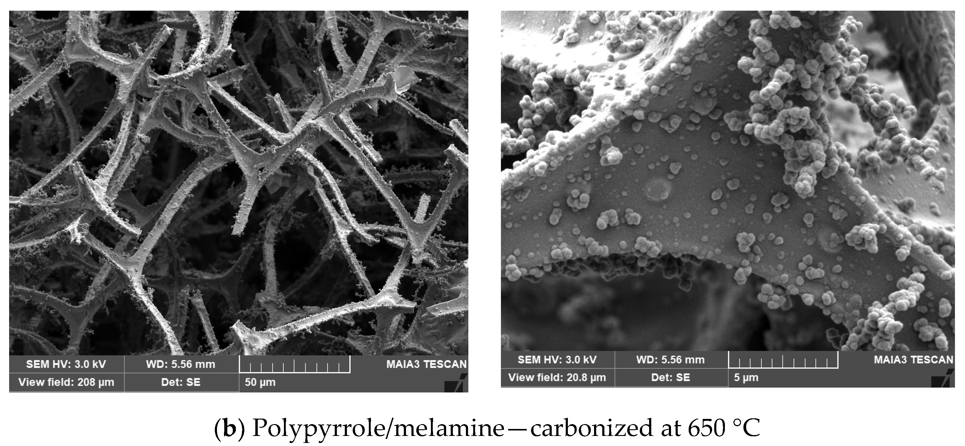 Coatings 12 00324 g004b