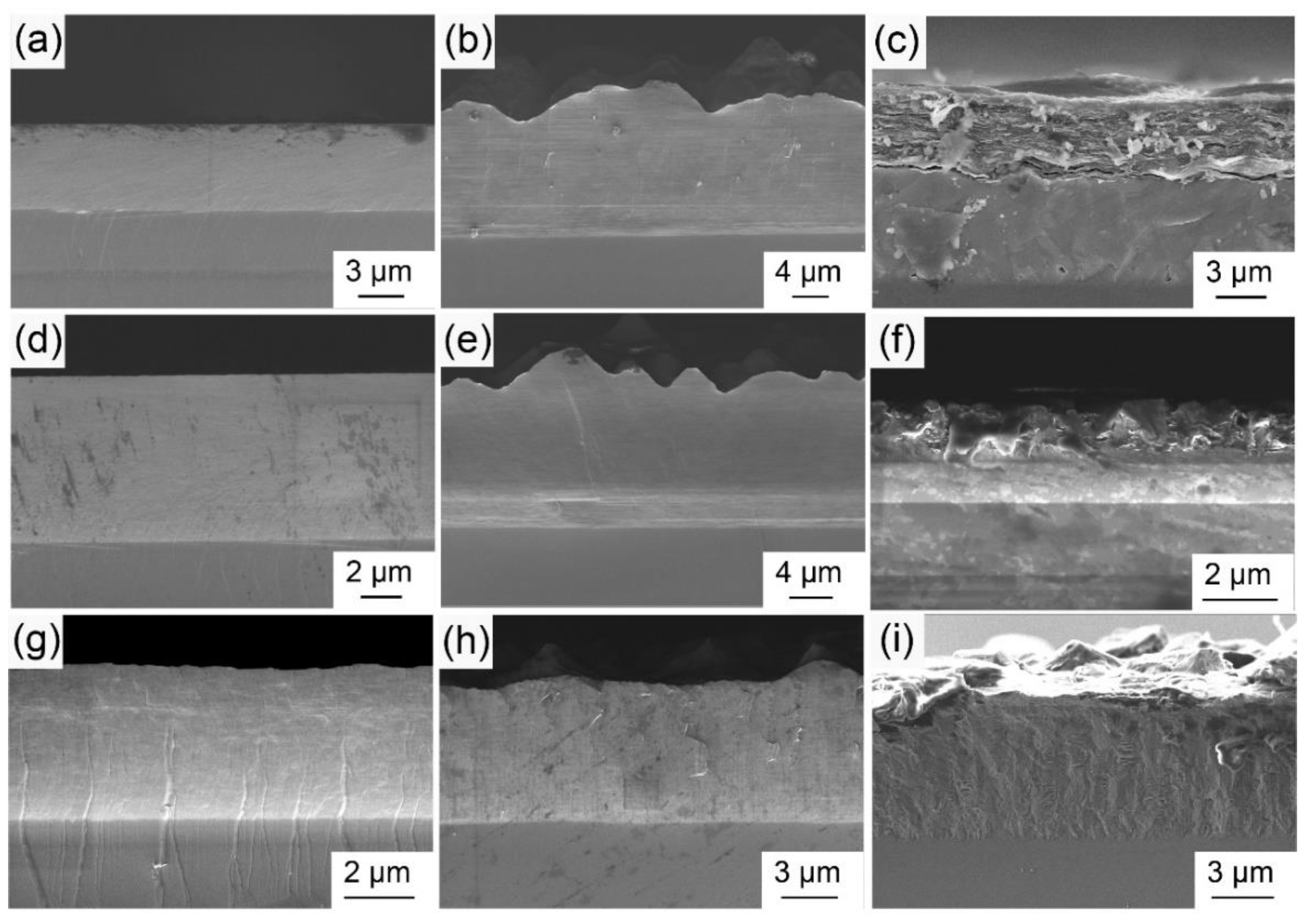 Coatings 12 00329 g012
