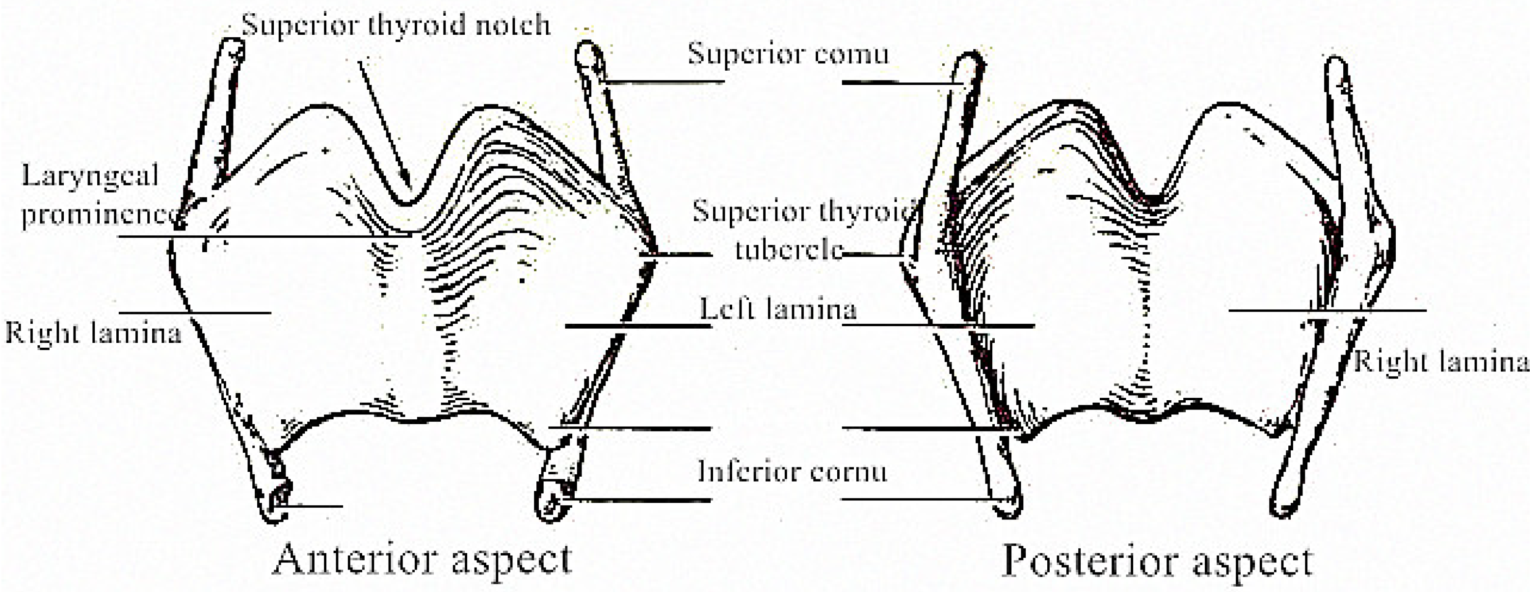 Coatings 12 00336 g002