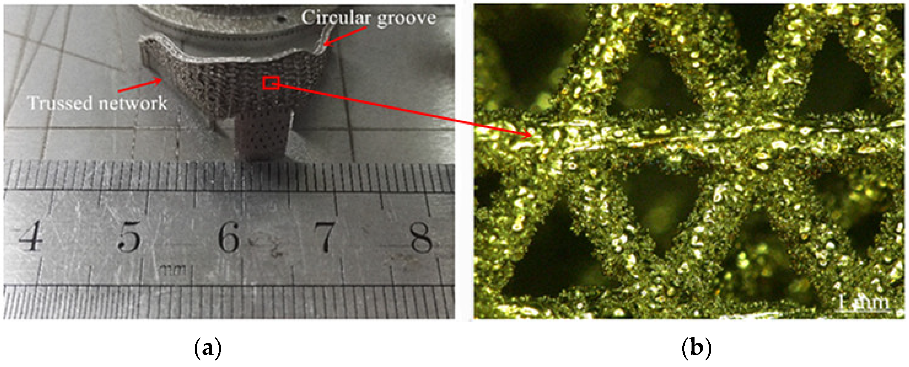 Coatings 12 00336 g009