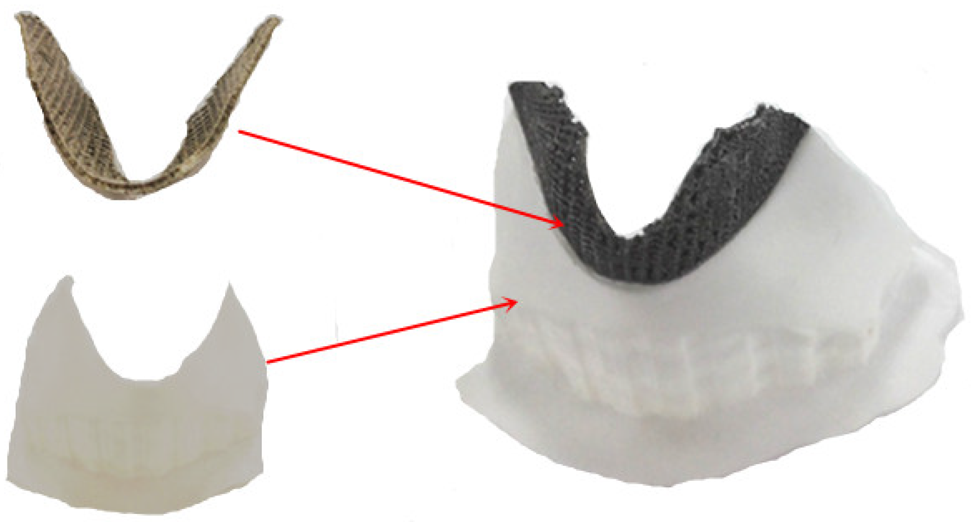 Coatings 12 00336 g010