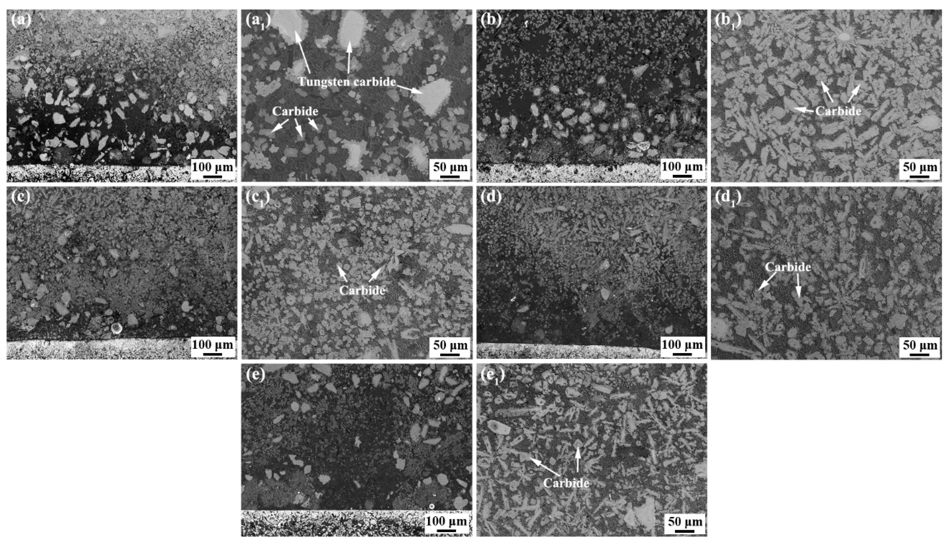 Coatings 12 00342 g001