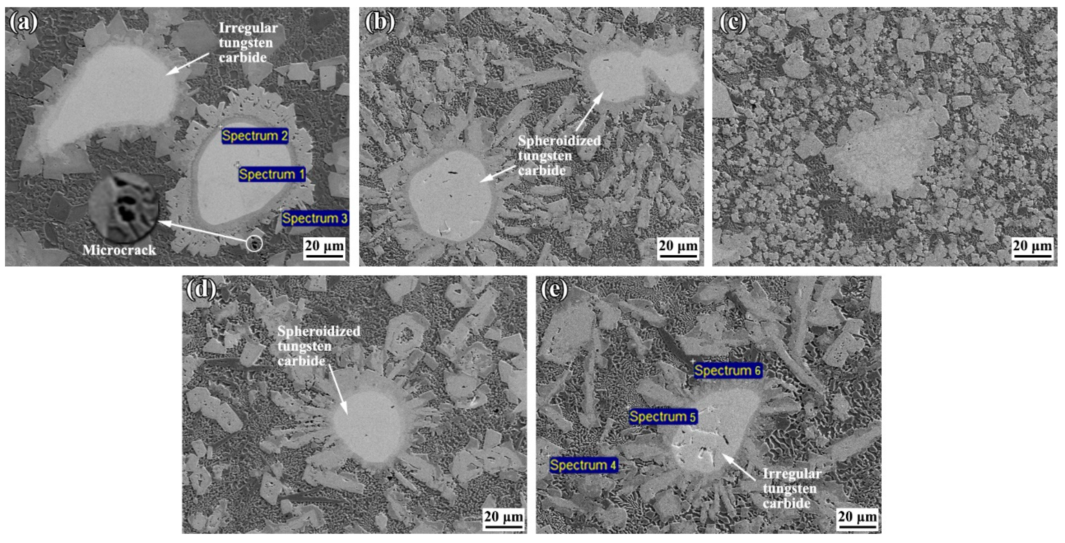 Coatings 12 00342 g004
