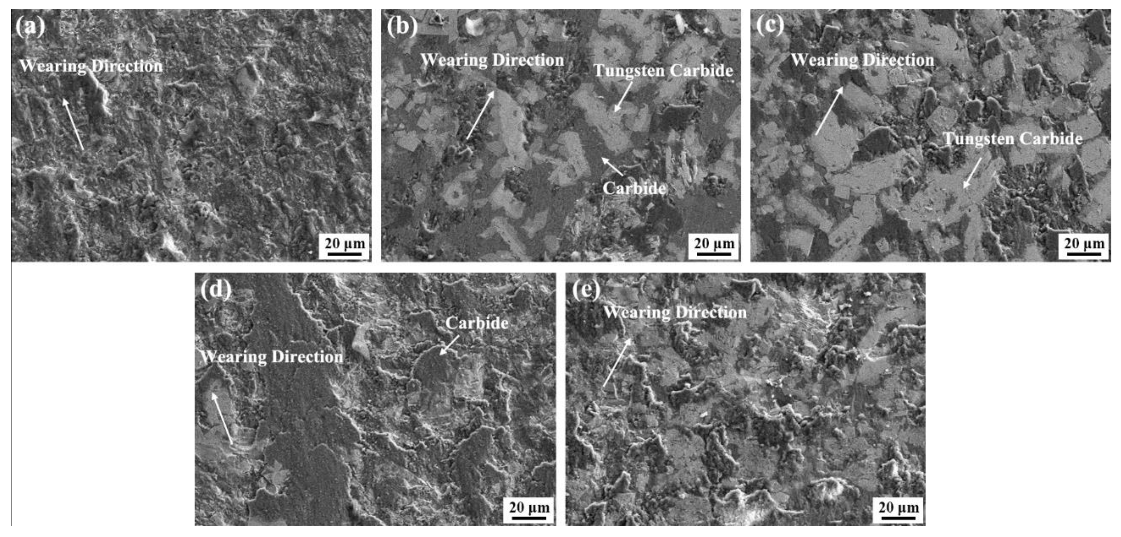 Coatings 12 00342 g008