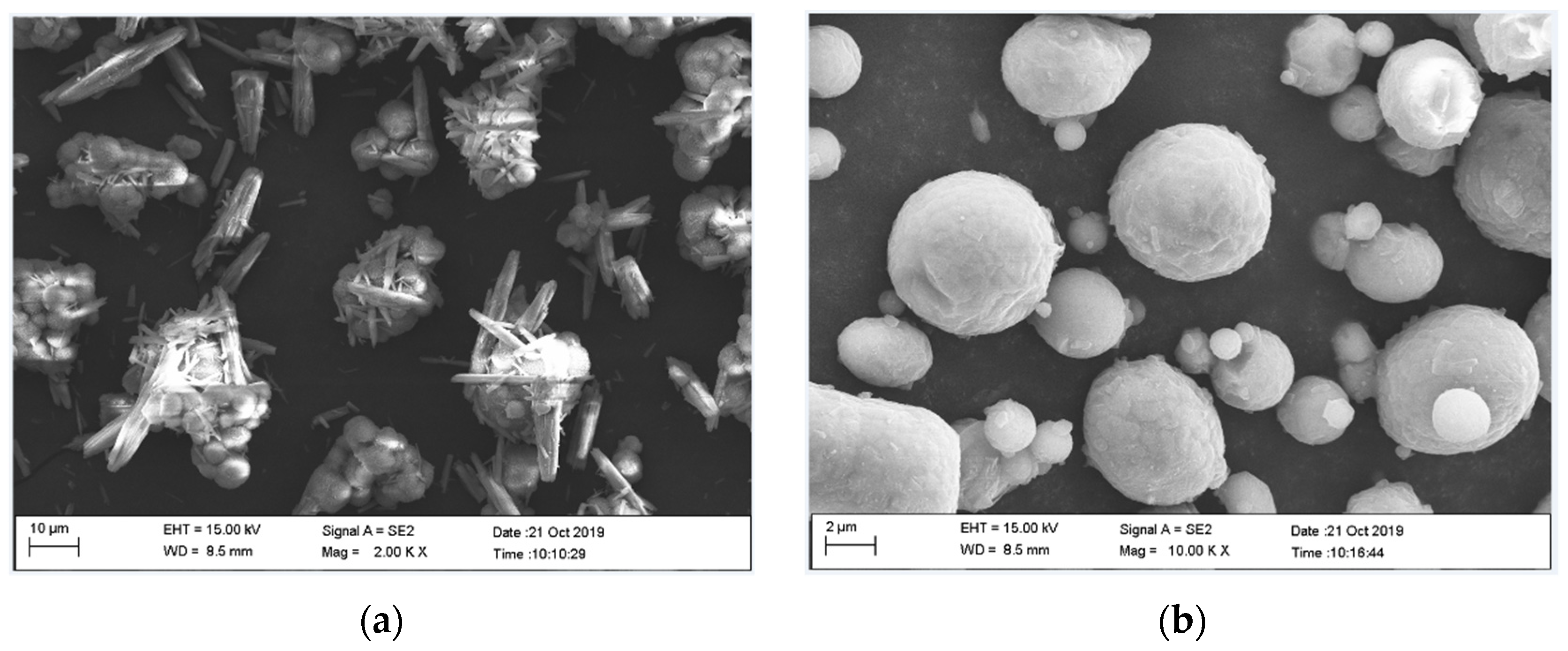Coatings 12 00349 g004