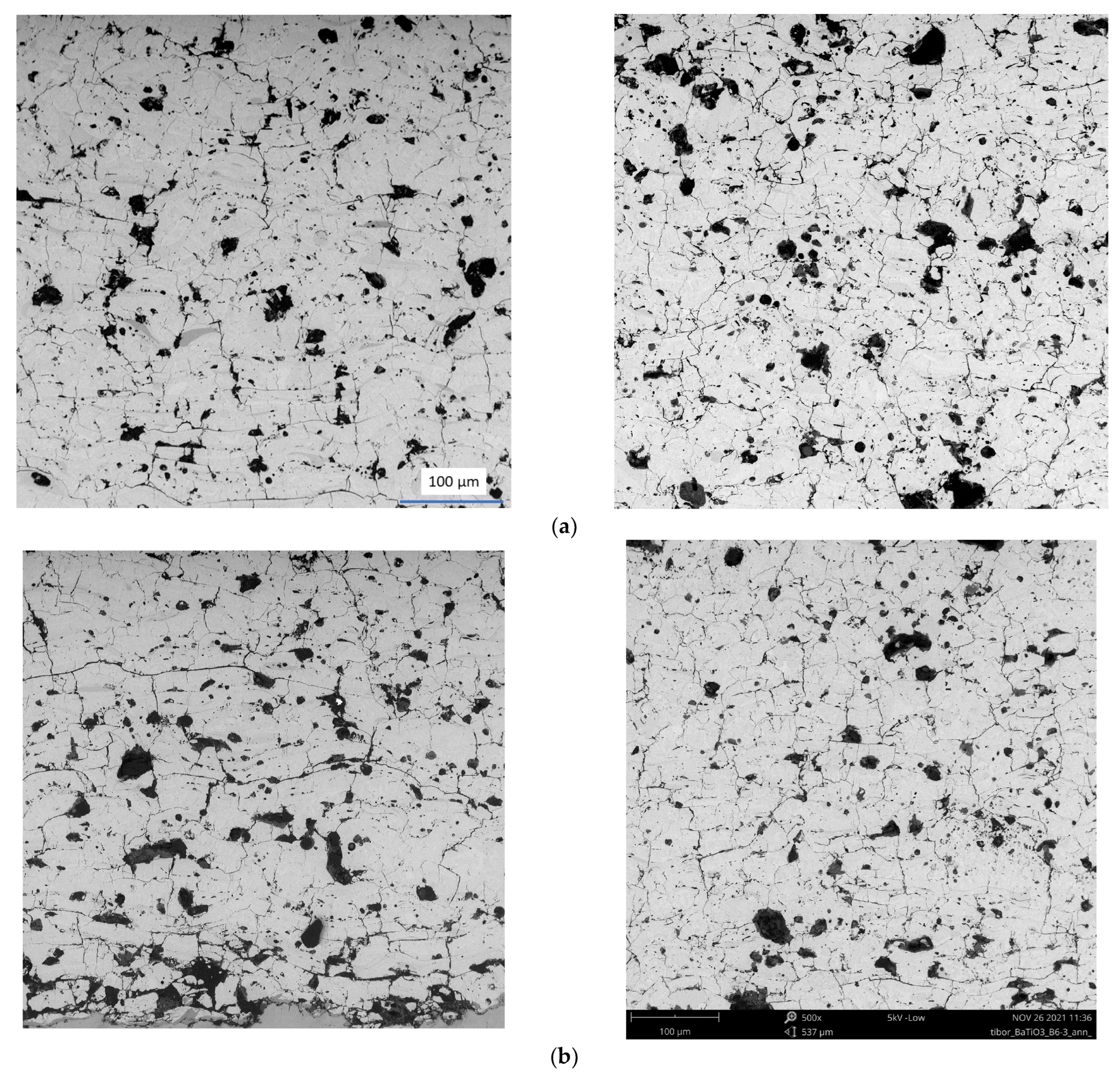 Coatings 12 00355 g001