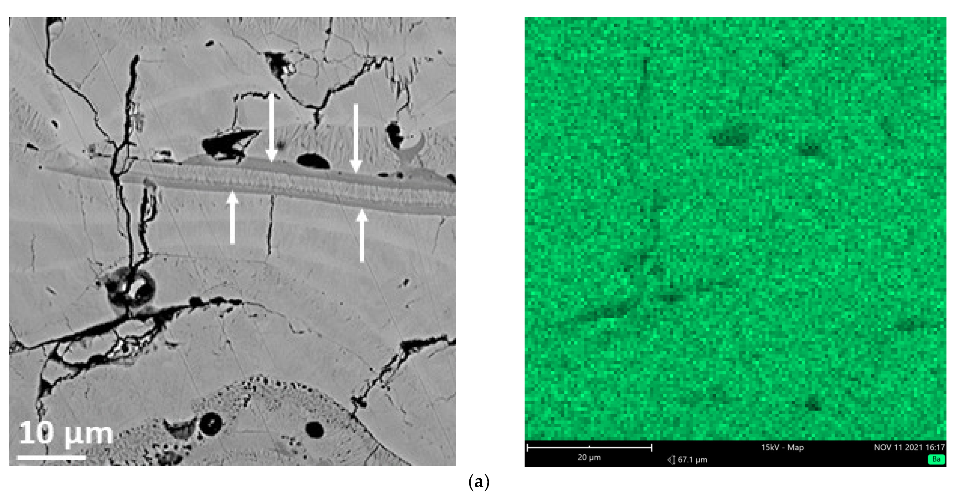 Coatings 12 00355 g009a