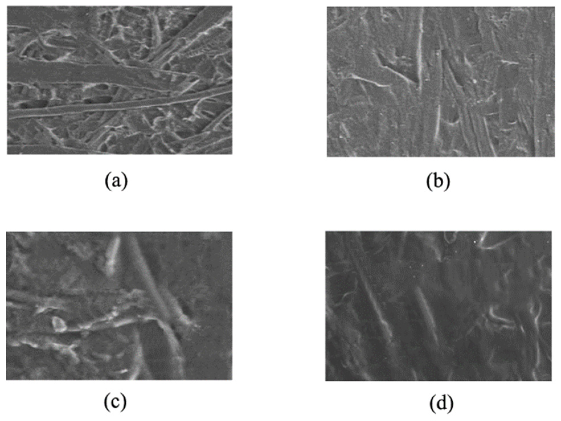 Coatings 12 00357 g013 Coatings 12 00357 g013