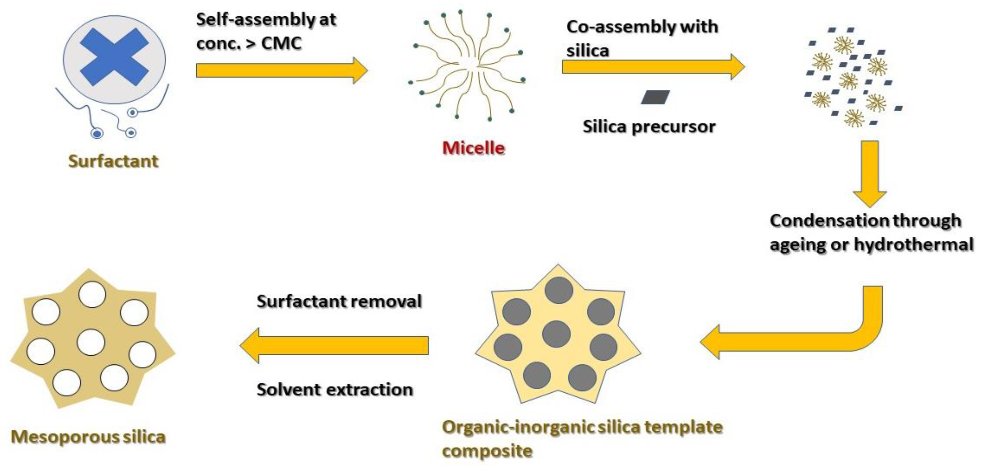 Coatings 12 00358 g001