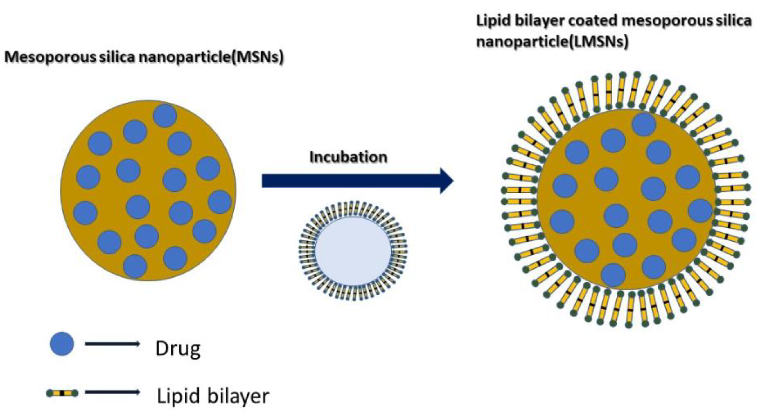 Coatings 12 00358 g004