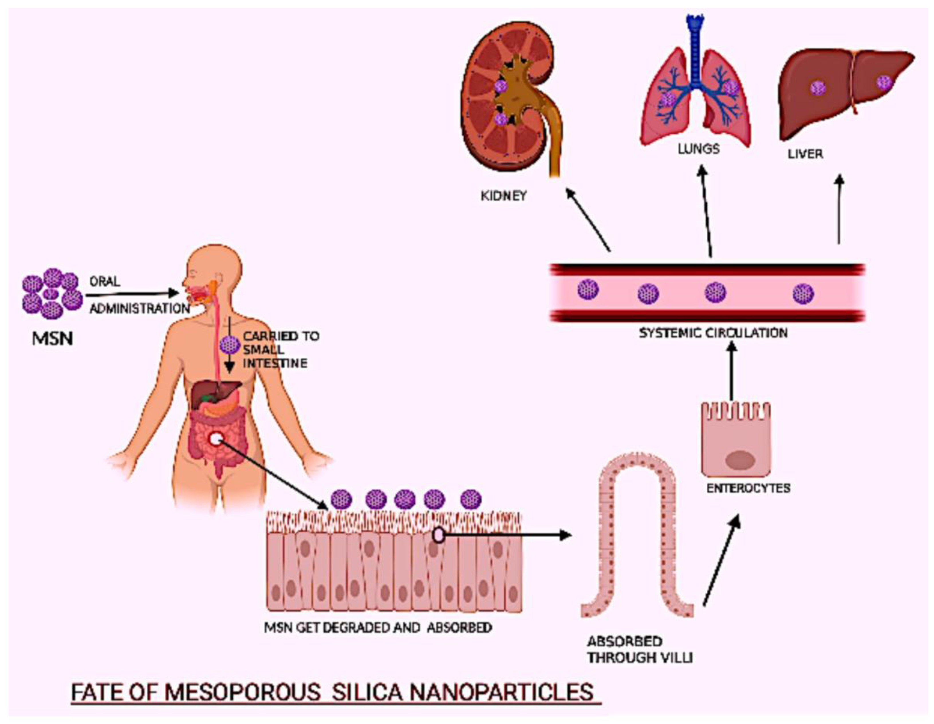 Coatings 12 00358 g007