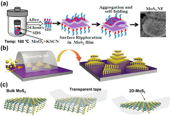 Coatings 12 00360 g003 550