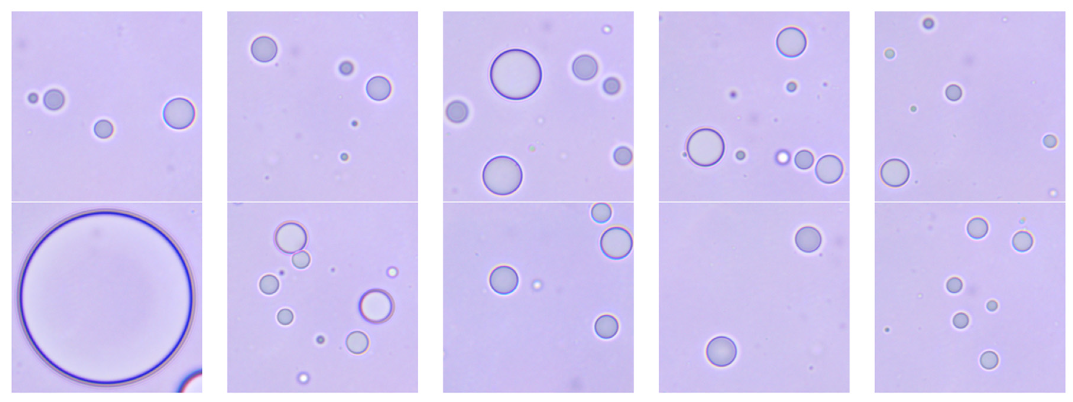 Coatings 12 00364 g001