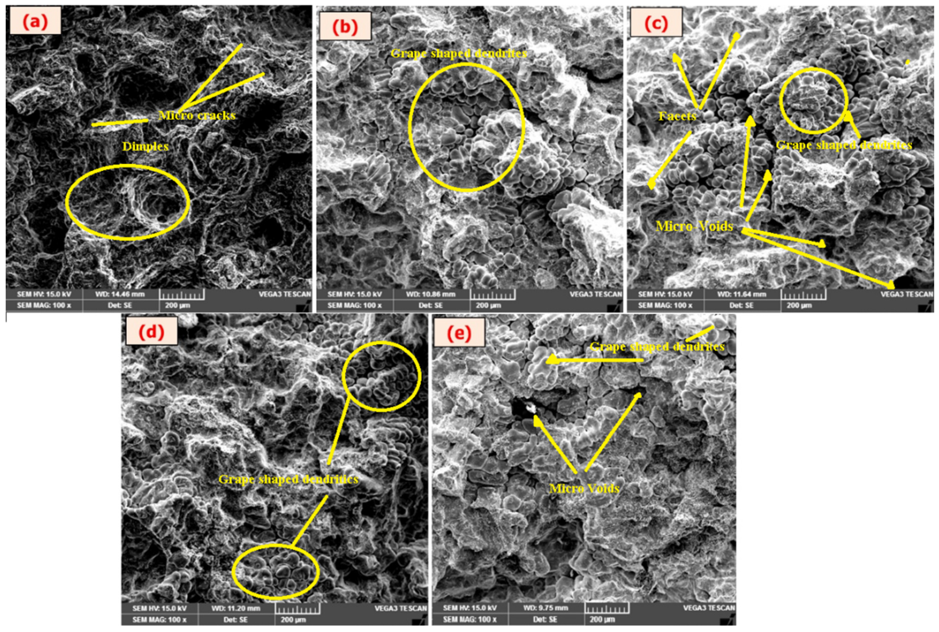 Coatings 12 00365 g009
